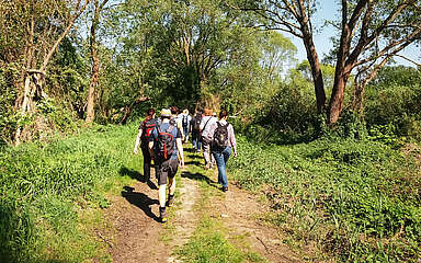Aktuelles Projekt: Barrierefreien Komfortwanderweg in Wildau