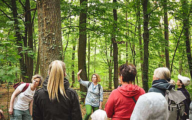 Wandergruppe, Lizenz: Dahme-Seenland e.V., Sandra Fonarob