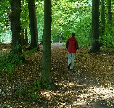 Wandern im Tiergarten_kachel