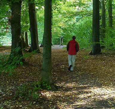 Wandern im Tiergarten_kachel