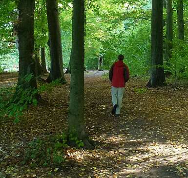 Wandern im Tiergarten_kachel