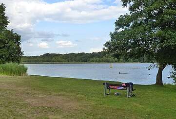 P6_Strand am Langer See in Dolgenbrodt