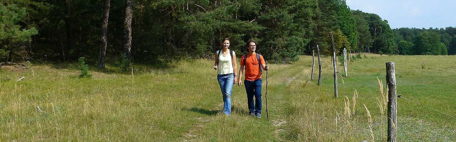 Auf der Lesefährte Waldweisen