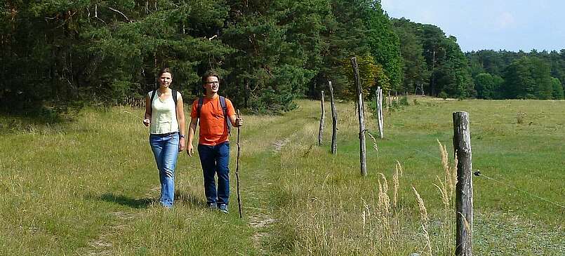 Auf der Lesefährte Waldweisen