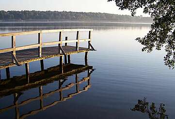 <p>Blick auf den Köthener See mit Morgennebel</p>