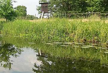 Dahme_bei Märkisch Buchholz