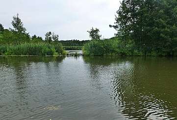 Dahme nach Hermsdorf Mühle