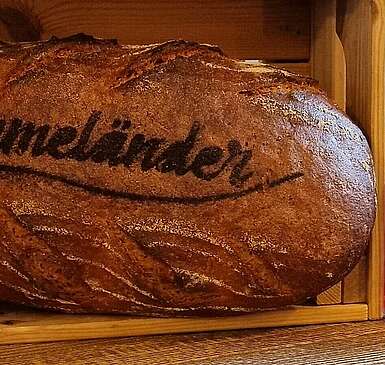 DahmeländerBrot_kopfbild