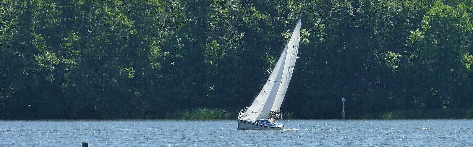 Segelboot auf dem Zeuthener See