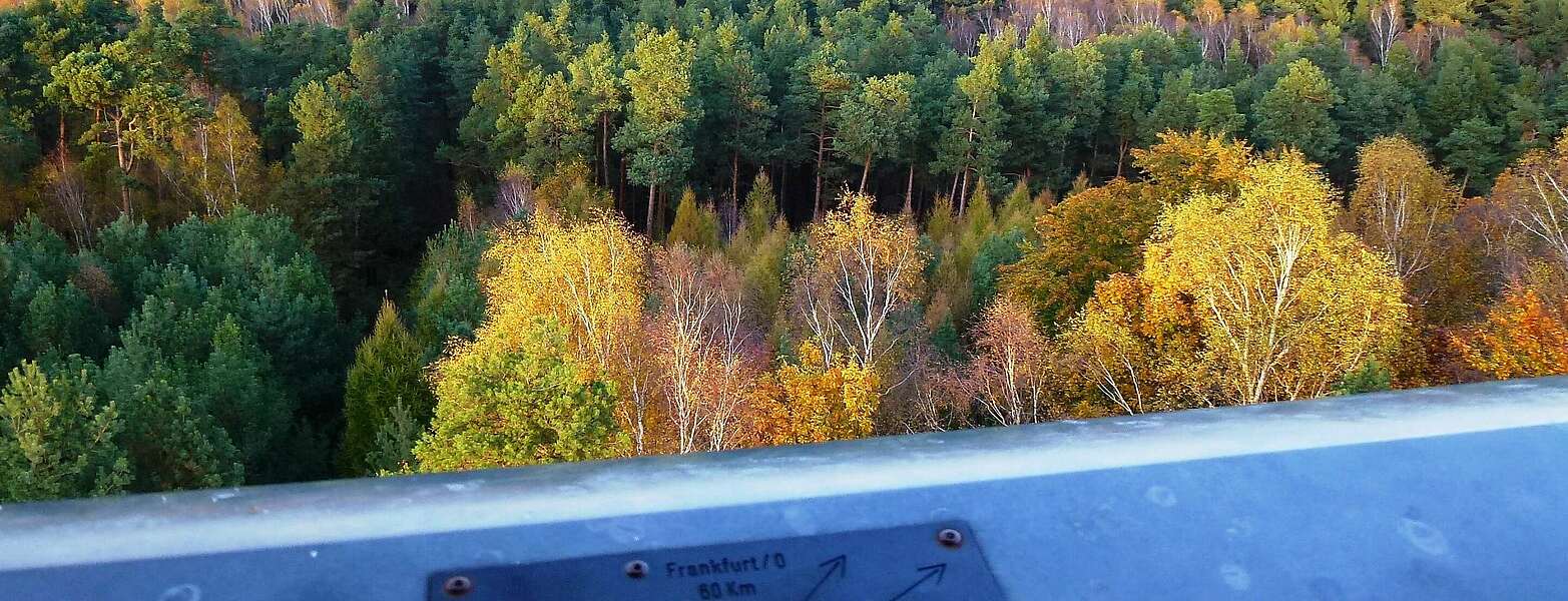 Blick vom Wehlaberg