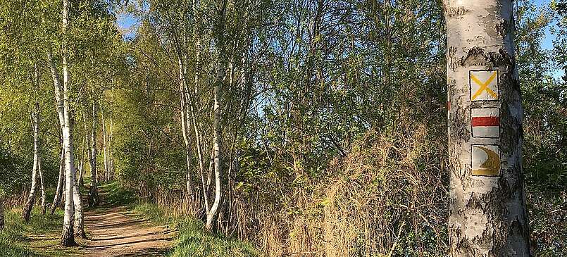 Wanderweg-Dahmewiesen-Wildau