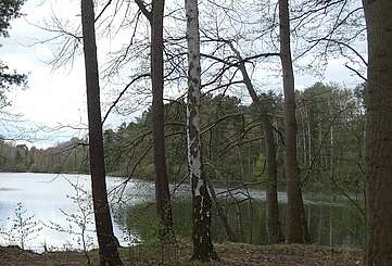 Kleiner Tonteich