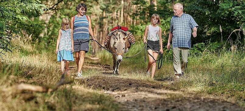Eselwanderung