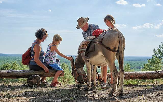 Kind streichelt Esel Kind streichelt Esel
