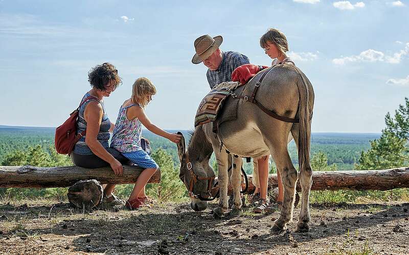 Kind streichelt Esel